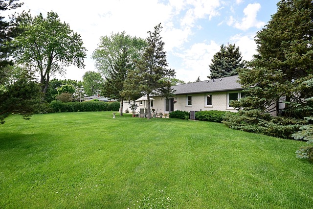 117 E Henry St, Arlington Heights, IL 60004 photo 18