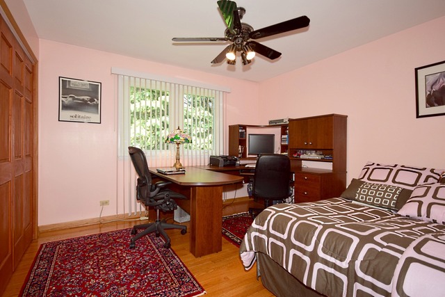 117 E Henry St, Arlington Heights, IL 60004 photo 15