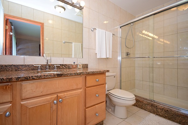 117 E Henry St, Arlington Heights, IL 60004 photo 16
