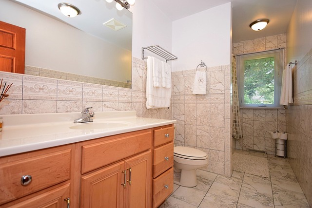 117 E Henry St, Arlington Heights, IL 60004 photo 17