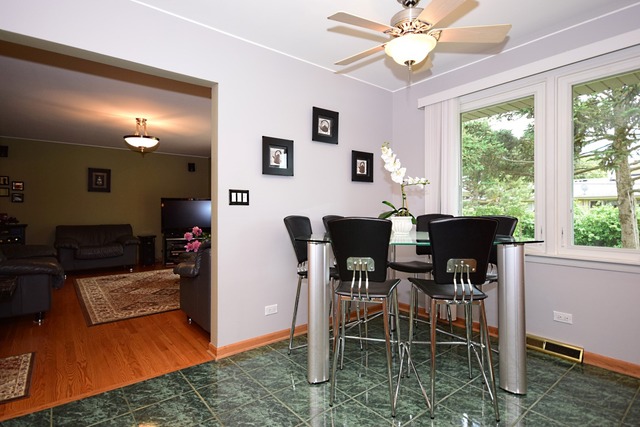117 E Henry St, Arlington Heights, IL 60004 photo 6