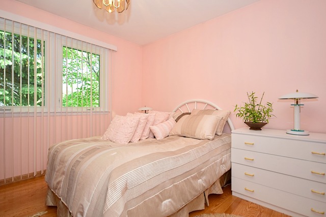 117 E Henry St, Arlington Heights, IL 60004 photo 13