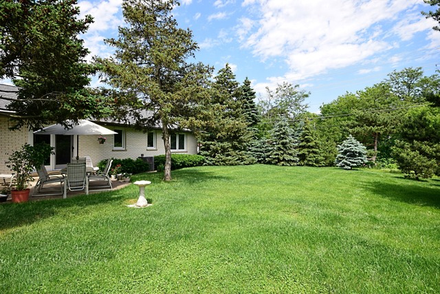 117 E Henry St, Arlington Heights, IL 60004 photo 19