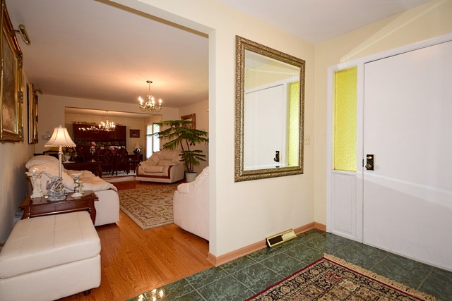 117 E Henry St, Arlington Heights, IL 60004 photo 10