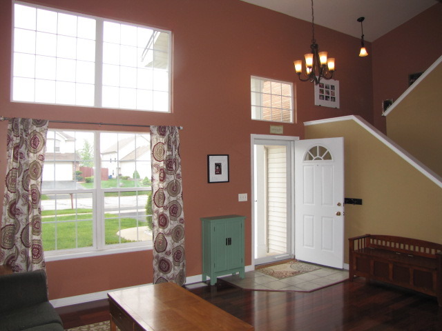 4752 W Marigold Ln, Monee, IL 60449 photo 2