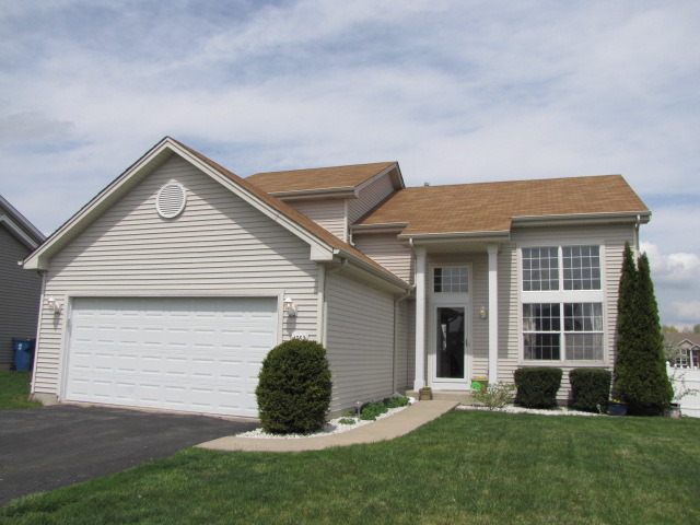 4752 W Marigold Ln, Monee, IL 60449 photo 1