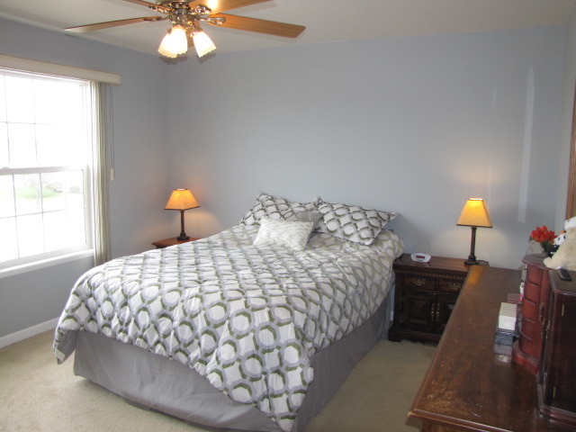 4752 W Marigold Ln, Monee, IL 60449 photo 14