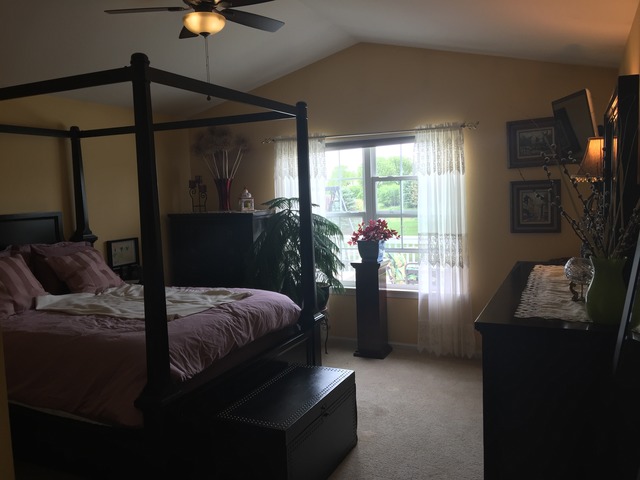 3803 Cherry Tree Ln, Joliet, IL 60435 photo 13
