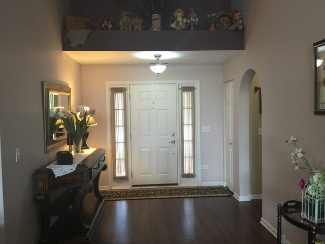 3803 Cherry Tree Ln, Joliet, IL 60435 photo 3
