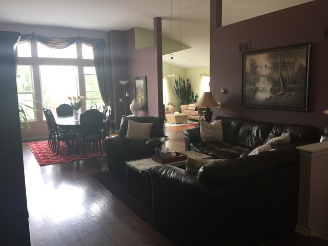 3803 Cherry Tree Ln, Joliet, IL 60435 photo 7