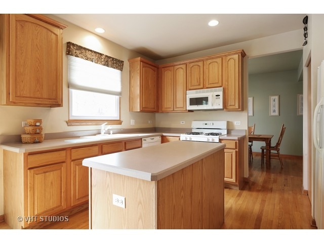 11644 S Decathalon Ln, Plainfield, IL 60585 photo 3