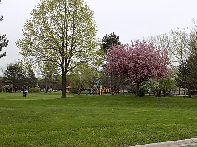 834 N School St, Addison, IL 60101 photo 24