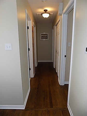 834 N School St, Addison, IL 60101 photo 10