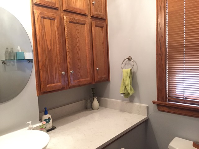 135 Keystone Ave, River Forest, IL 60305 photo 10