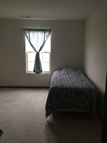 2640 Williamsburg Dr, Algonquin, IL 60102 photo 17