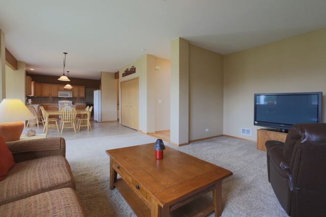 25438 Bower Ct, Plainfield, IL 60585 photo 8