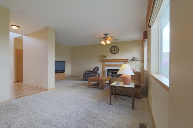 25438 Bower Ct, Plainfield, IL 60585 photo 9