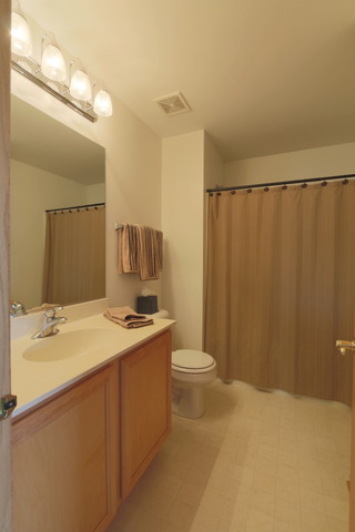 25438 Bower Ct, Plainfield, IL 60585 photo 19