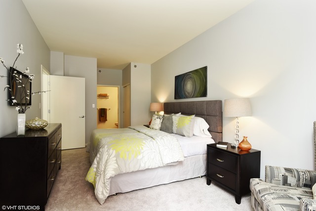 1 E 8th St #1014, Chicago, IL 60605 photo 9