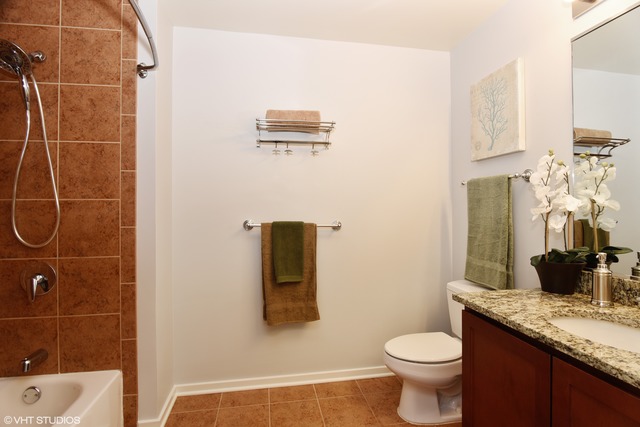 1 E 8th St #1014, Chicago, IL 60605 photo 10