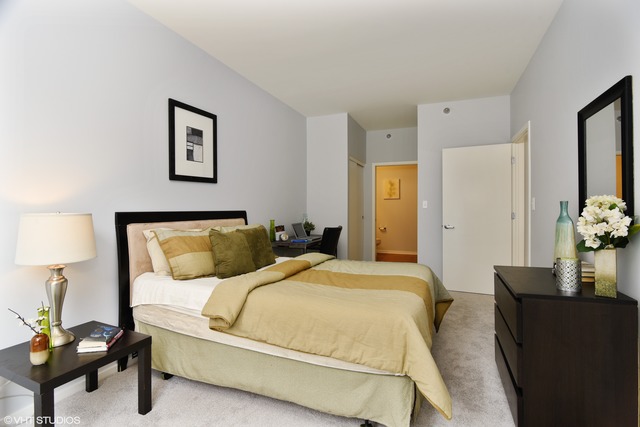 1 E 8th St #1014, Chicago, IL 60605 photo 12