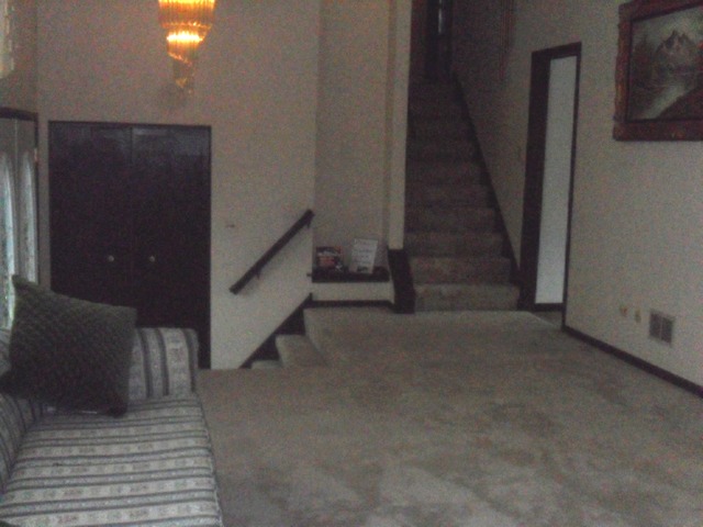 6437 157th St, Oak Forest, IL 60452 photo 5