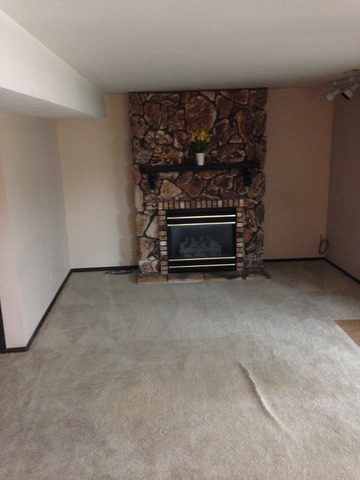 6437 157th St, Oak Forest, IL 60452 photo 10