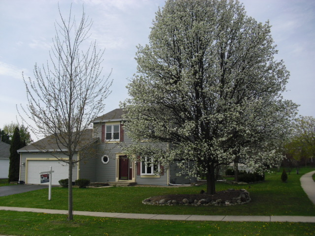 358 Georgetown Dr, Cary, IL 60013 photo 1