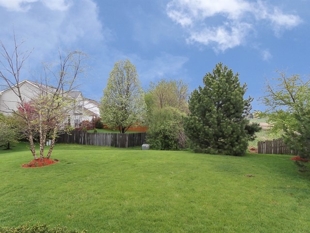 2416 Foxglove Ct, Elgin, IL 60124 photo 20