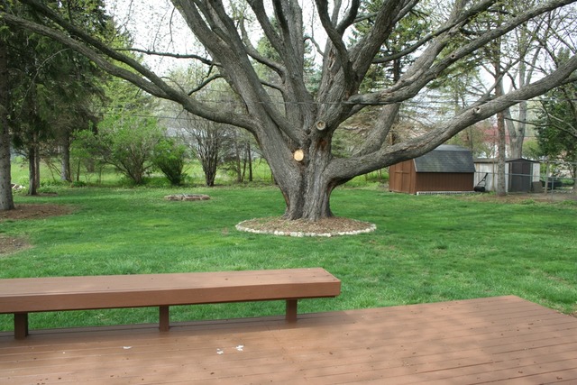 4715 William St, Mchenry, IL 60051 photo 19