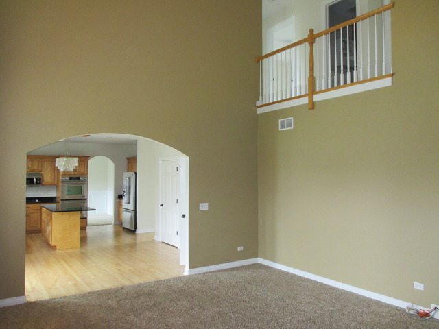15436 Dan Patch Dr, Plainfield, IL 60544 photo 10