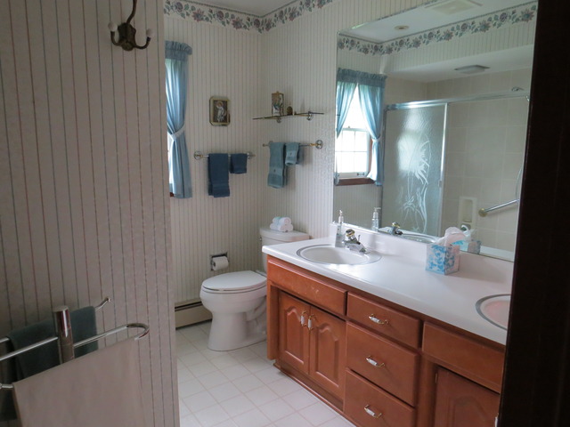 796 Carol Ave, Elgin, IL 60123 photo 11