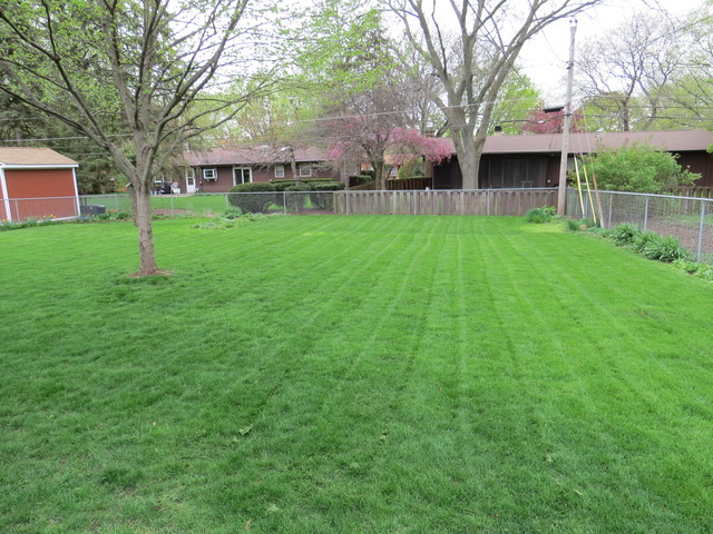 796 Carol Ave, Elgin, IL 60123 photo 7