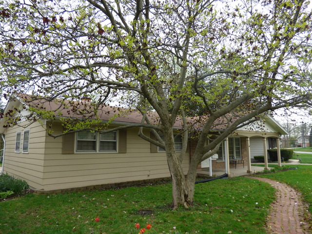 3719 Crescent Dr, Steger, IL 60475 photo 25