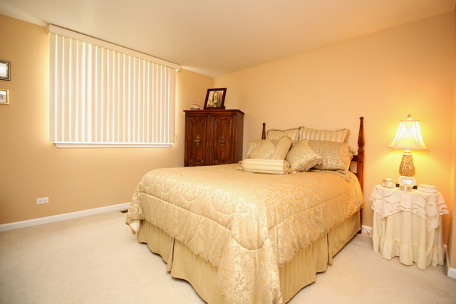 785 Citadel Ct, Des Plaines, IL 60016 photo 16