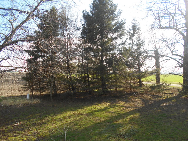 1001 E 2300 N Rd, Danforth, IL 60930 photo 20