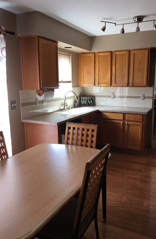 21731 Ivanhoe Trl, Plainfield, IL 60544 photo 9