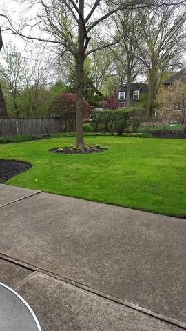 2143 Oak Ave, Northbrook, IL 60062 photo 7