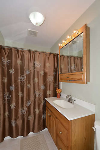 244 S Hatlen Ave, Mount Prospect, IL 60056 photo 12