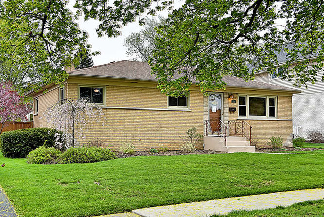 244 S Hatlen Ave, Mount Prospect, IL 60056 photo 2