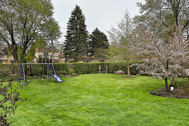 244 S Hatlen Ave, Mount Prospect, IL 60056 photo 23