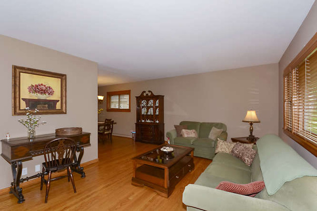 244 S Hatlen Ave, Mount Prospect, IL 60056 photo 4