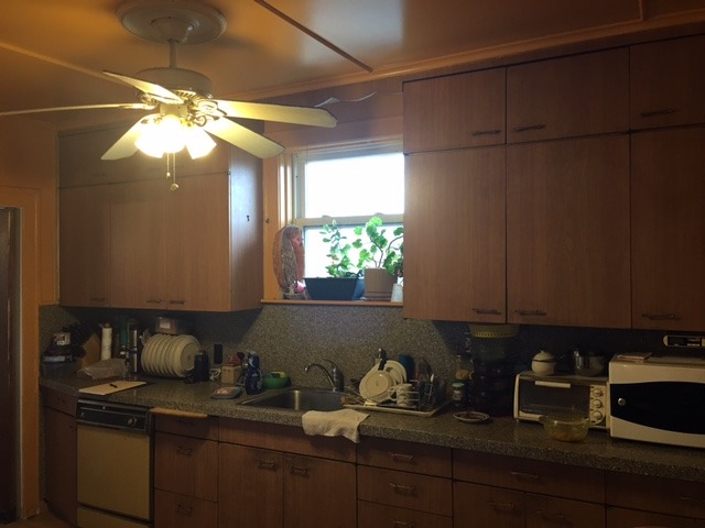 330 Grove Ave, Des Plaines, IL 60016 photo 7