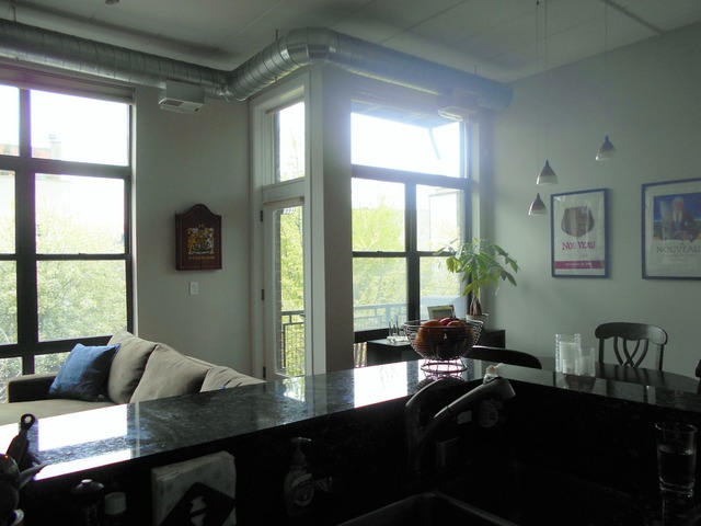 1319 N Wood St #2A, Chicago, IL 60622 photo 8