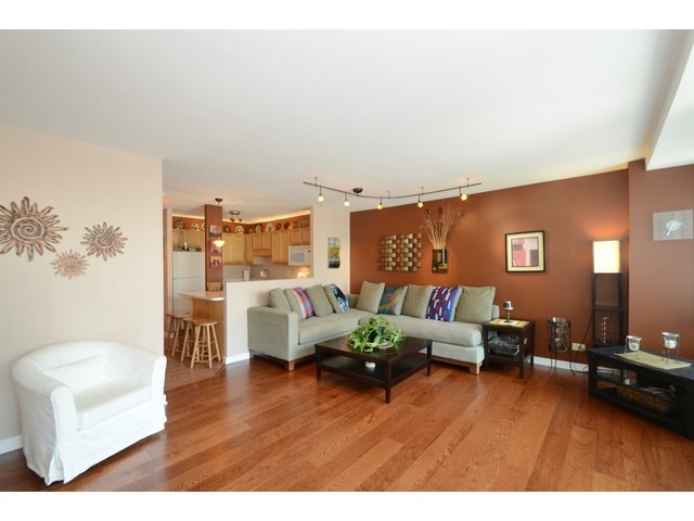 211 E Ohio St #2724, Chicago, IL 60611 photo 5