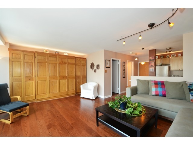 211 E Ohio St #2724, Chicago, IL 60611 photo 3