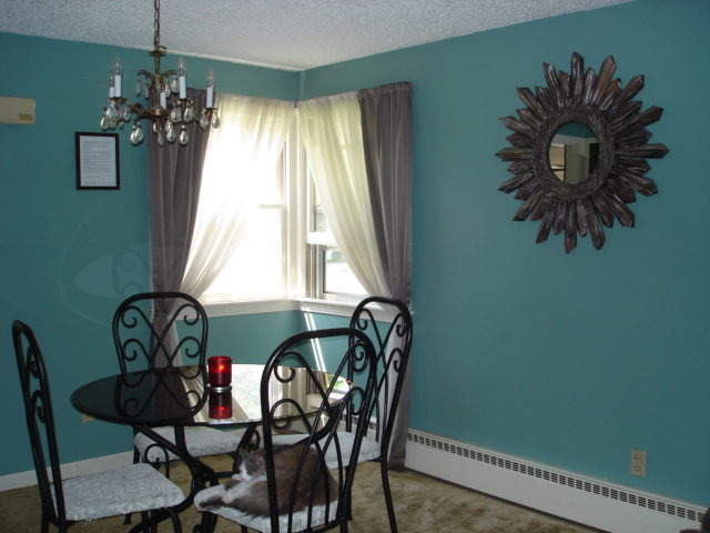1248 Westview Dr, Kankakee, IL 60901 photo 9