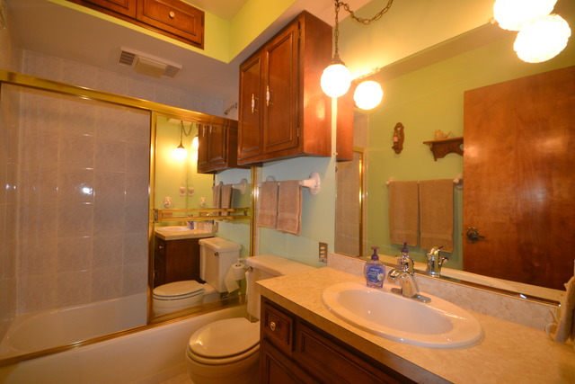 3602 N Fairview Ave, Johnsburg, IL 60051 photo 15