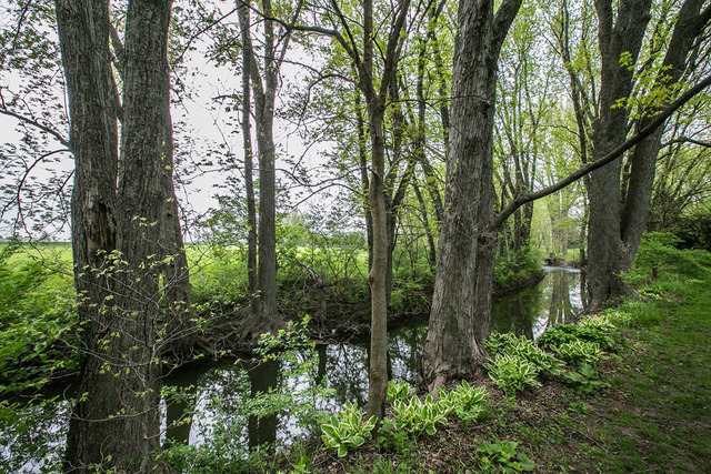 23708 W Andrew Rd, Plainfield, IL 60585 photo 3