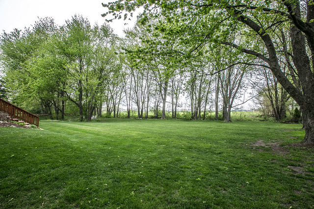23708 W Andrew Rd, Plainfield, IL 60585 photo 25